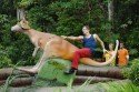 Das Känguruh des Grauens lässt das Dschungel-Camp erschaudern - (c) RTL / Stefan Menne