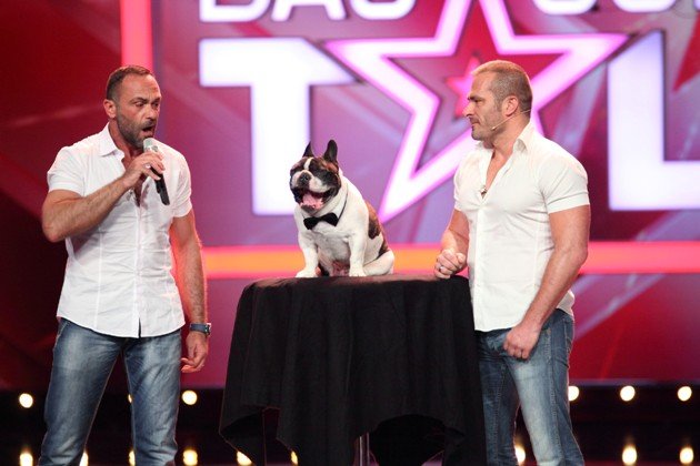 Emanuel Tiburzio und Walter Ledermüller mit Hund Junior beim Supertalent 31.10.2015 - Foto: (c) RTL - Frank Hempel