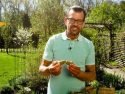 Natur im Garten 2017 Folge 1 - Karl Ploberger legt Kartoffeln