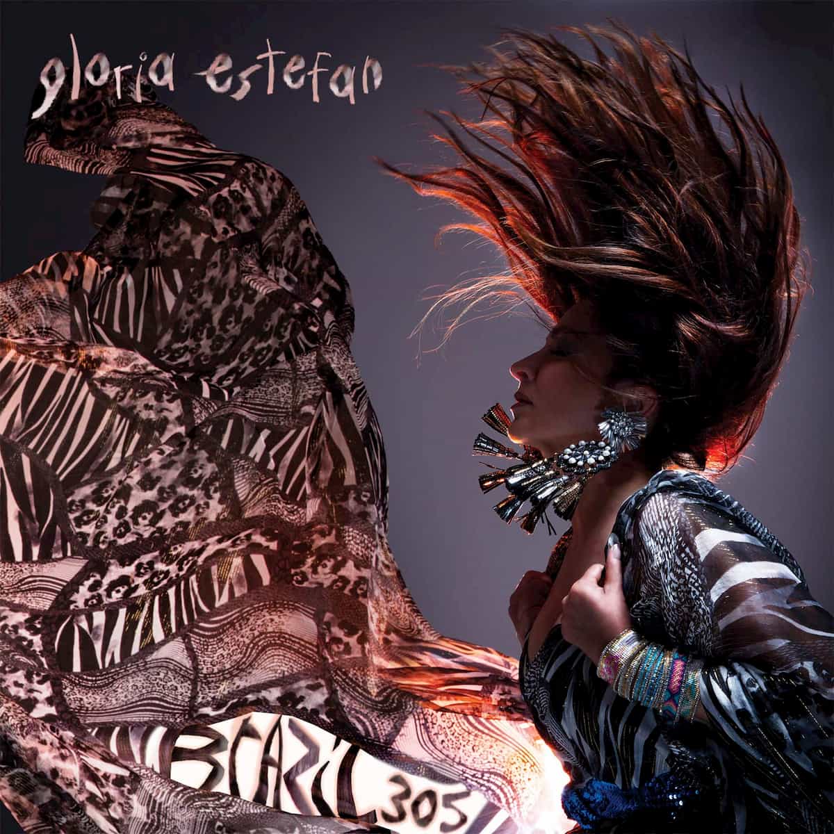Gloria Estefan 2020 Album Brazil305