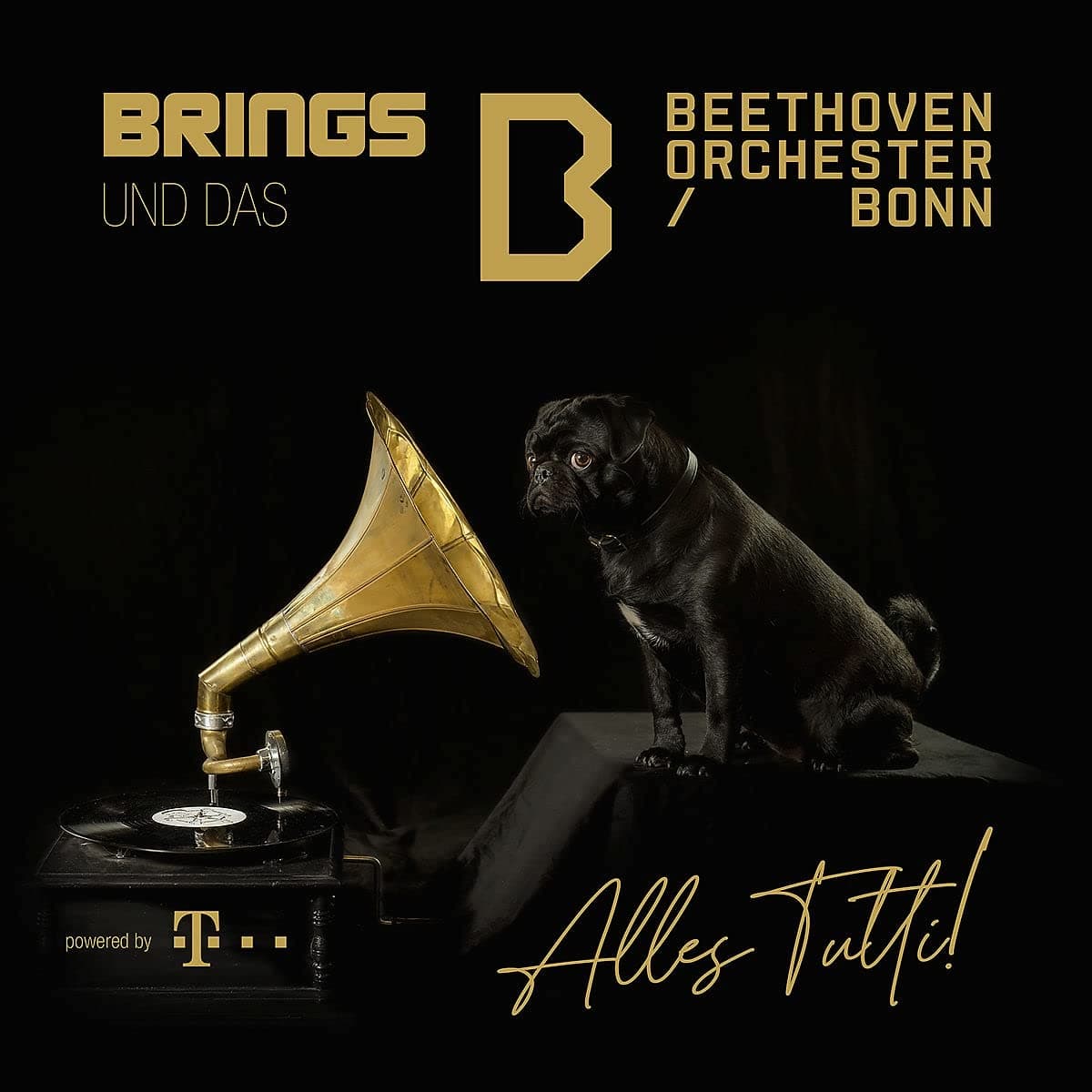 Brings - Alles Tutti! 2021 mit dem Beethoven-Orchester Bonn