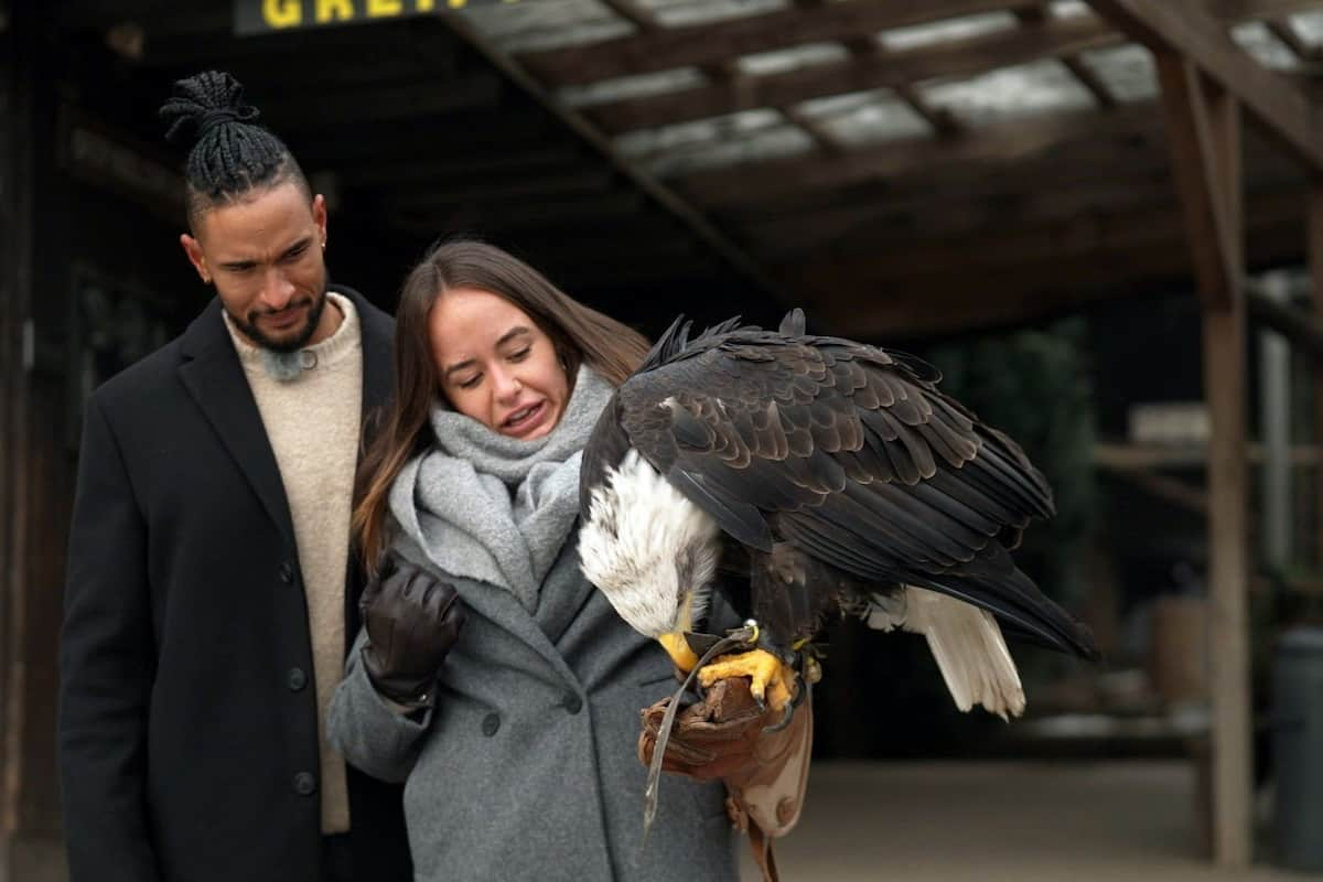 David und Angelina im Finale Bachelor 10.5.2023