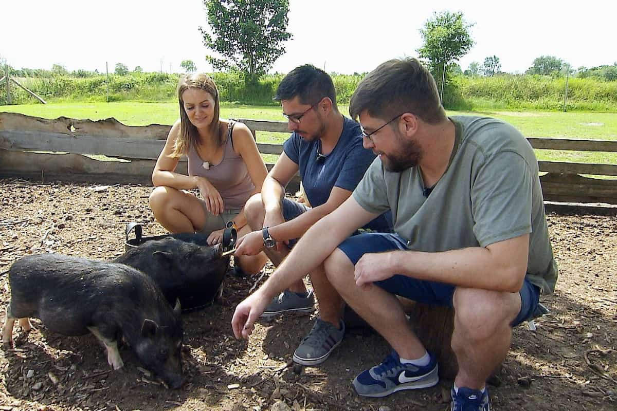 Bauer sucht Frau am 5.12.2023 - Stefanie mit Timo und Philipp