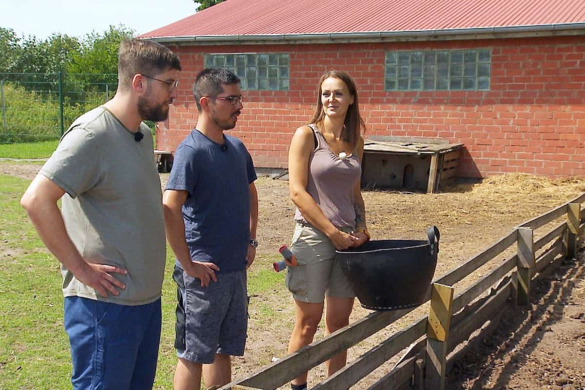 Philipp, Timo und Stefanie vor dem ersten Kontakt mit den Hoftieren