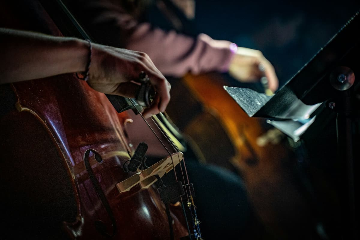 Neujahrskonzert Wiener Philharmoniker 2025 - Tickets kaufen