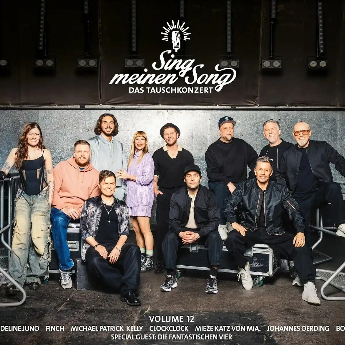 CD Sing meinen Song - Das Tauschkonzert 2025, Vol.12