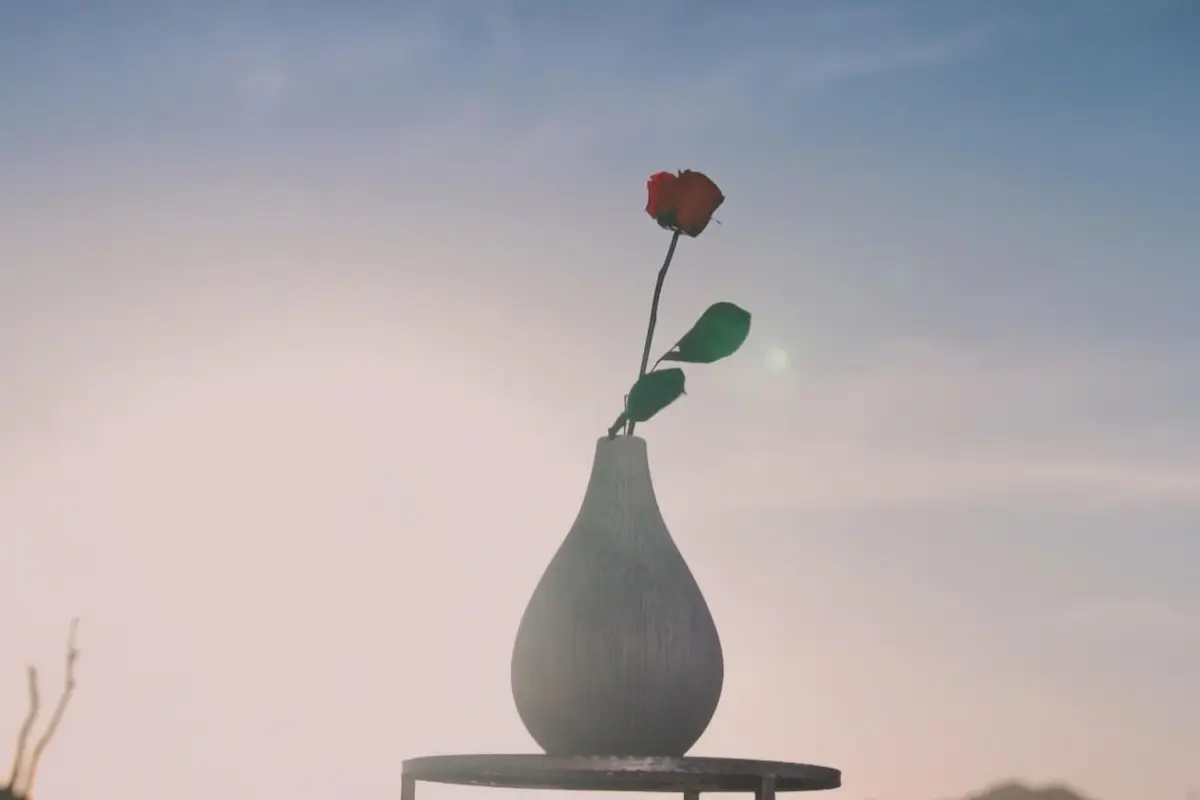 Finale Bachelor 27.8.2025 - Wer „gewinnt“ - Die letzte Rose