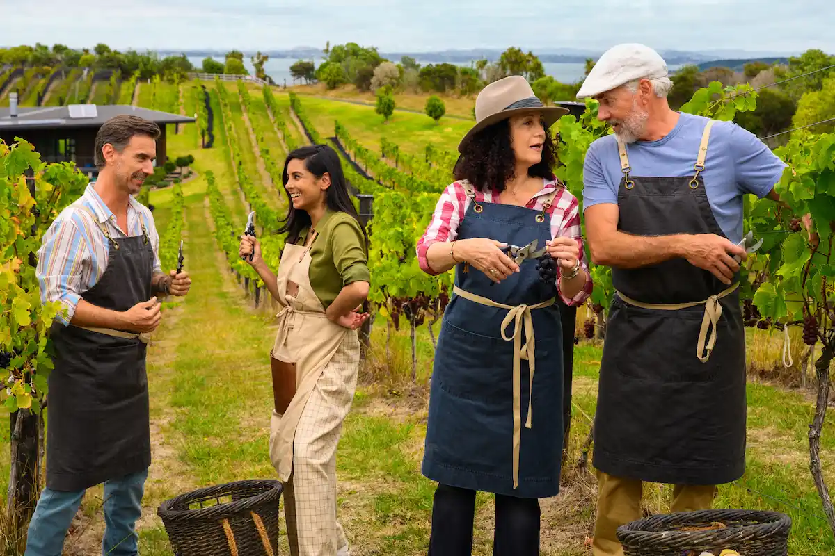Traumschiff 23.11.2025 - Max Parger. Dr. Jessica Delgado, Hanna Liebod und Martin Grimm bei der Weinlese
