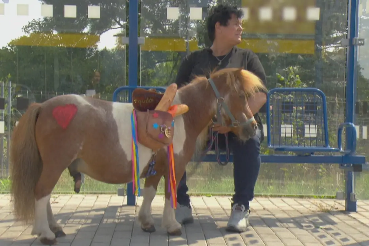 Simone wartet mit Pony auf Frank - BsF 1.12.2025