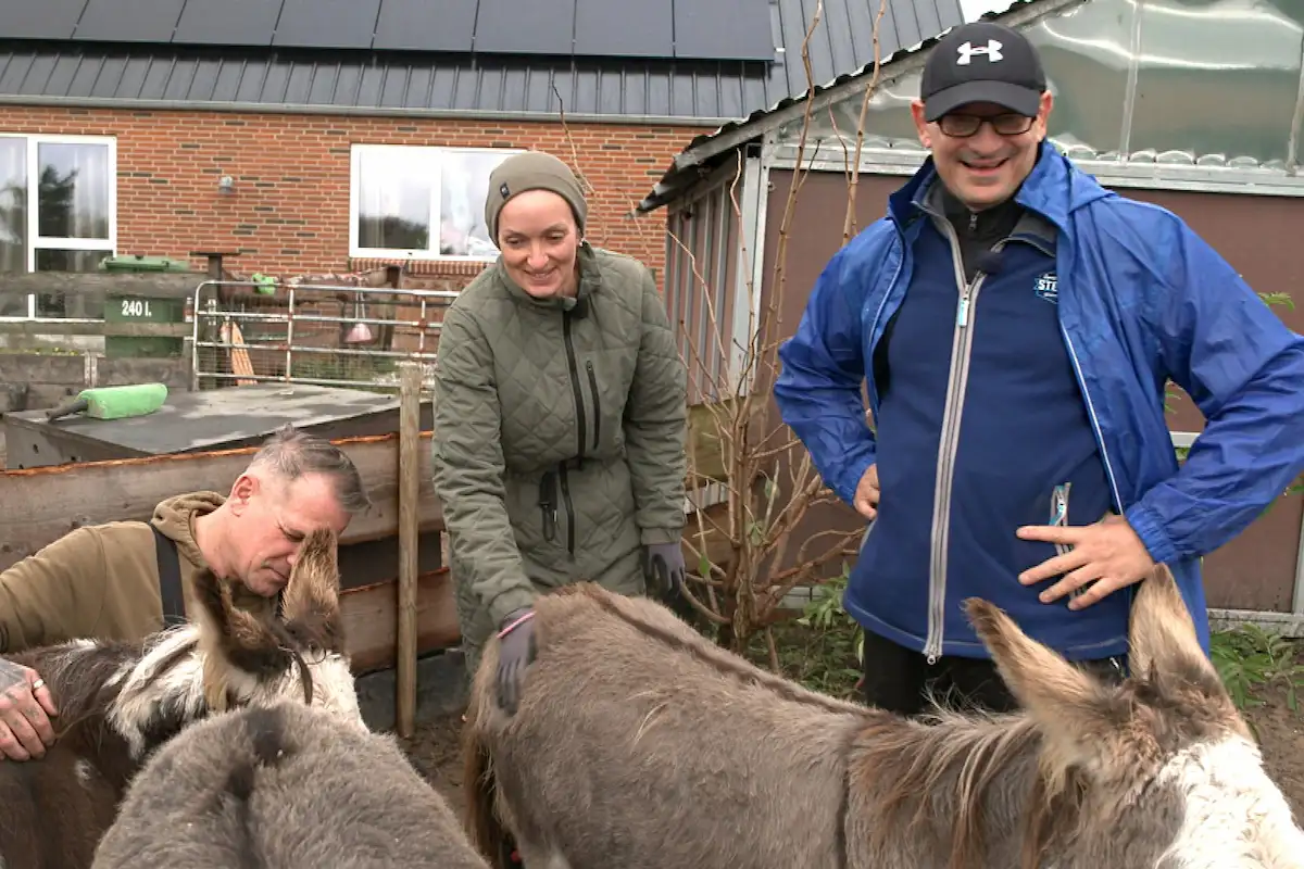 Nadine mit David und Ron bei den Eseln bei Bauer sucht Frau am 2.6.2026